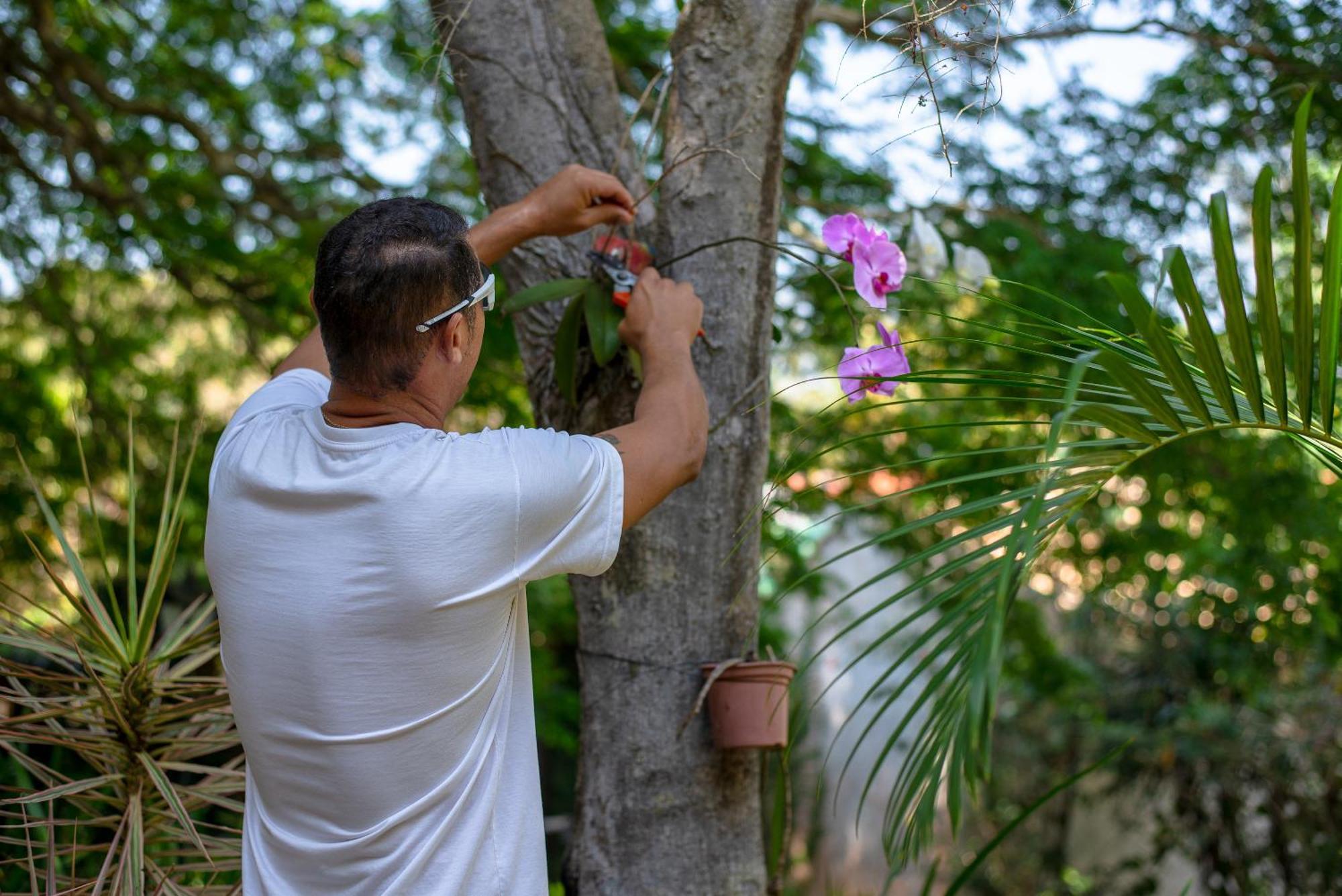 Villa Bella Ferradura Armacao dos Buzios Bagian luar foto
